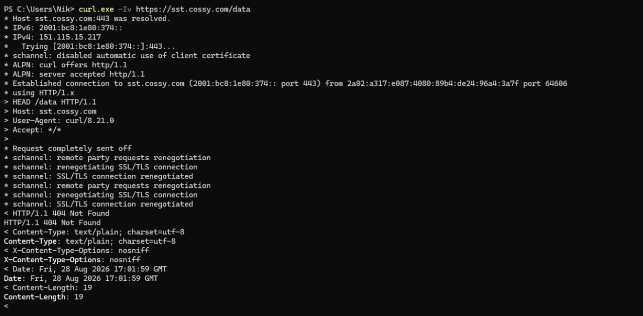 Test curl endpointu sst.cossy.com